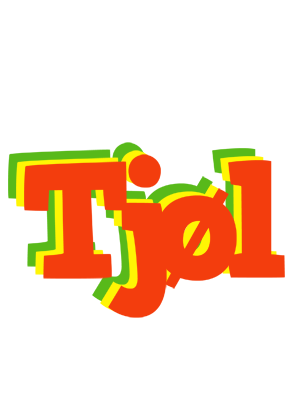 Tjøl bbq logo