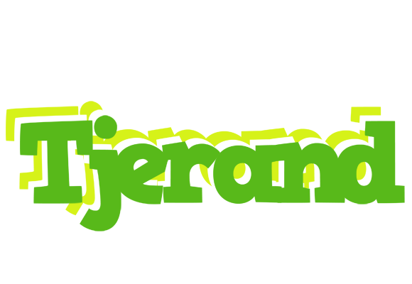 Tjerand picnic logo