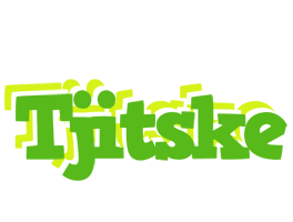 Tjitske picnic logo