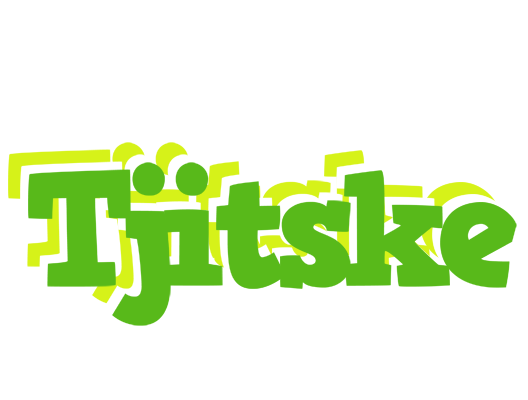 Tjitske picnic logo