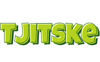 Tjitske summer logo