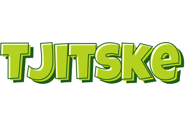 Tjitske summer logo