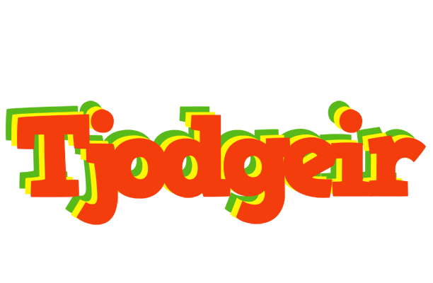 Tjodgeir bbq logo
