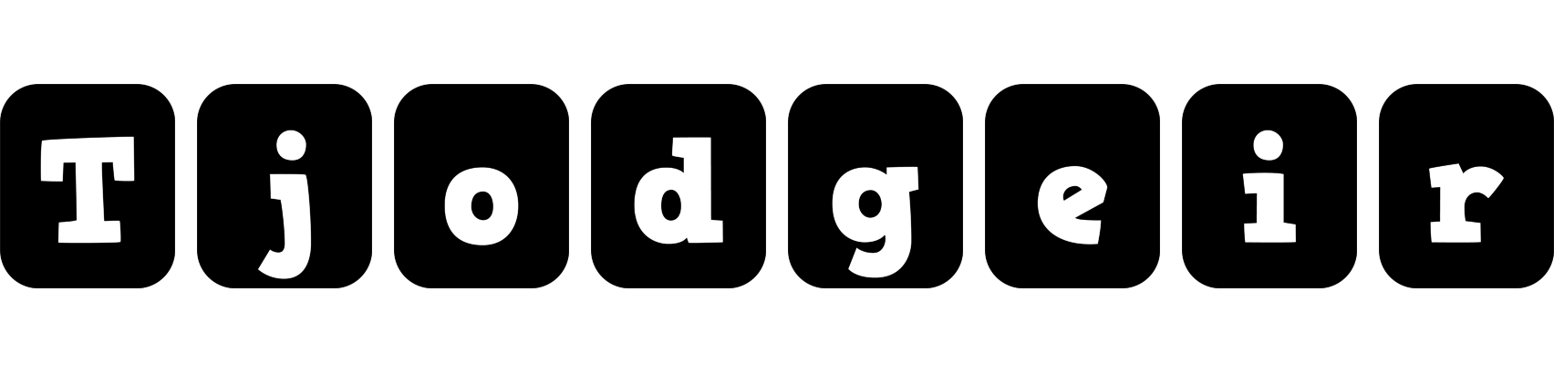 Tjodgeir box logo