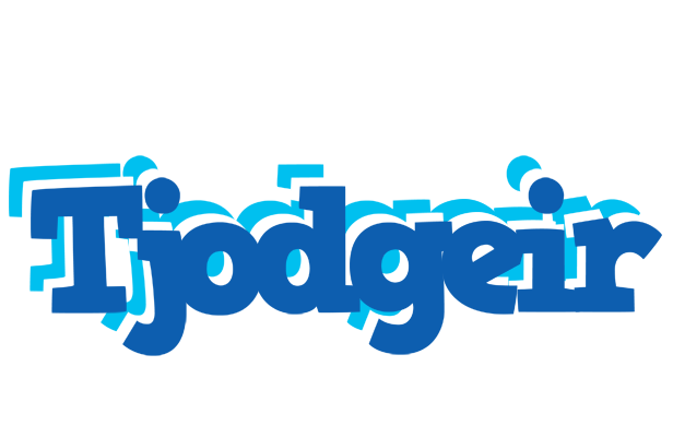 Tjodgeir business logo