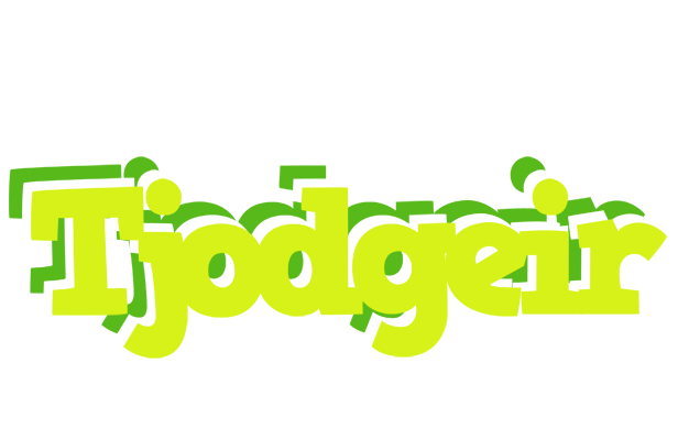 Tjodgeir citrus logo