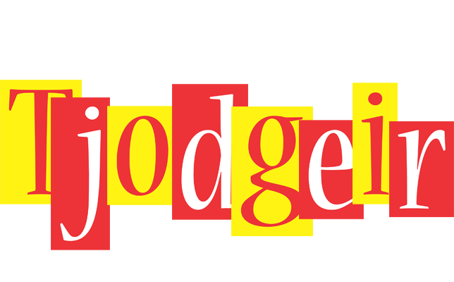 Tjodgeir errors logo