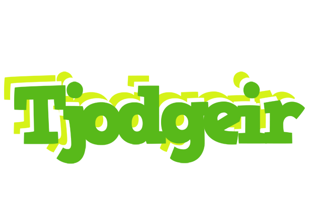 Tjodgeir picnic logo