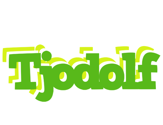 Tjodolf picnic logo