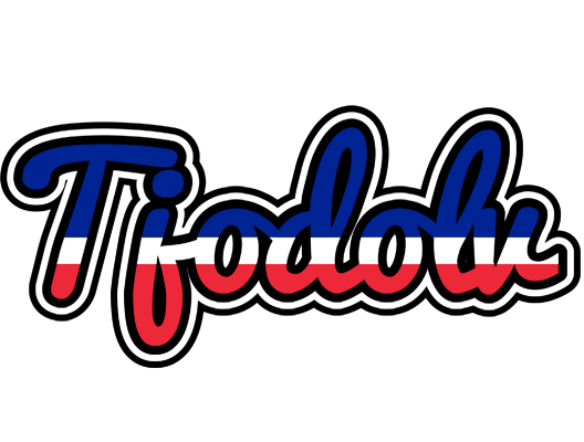 Tjodolv france logo