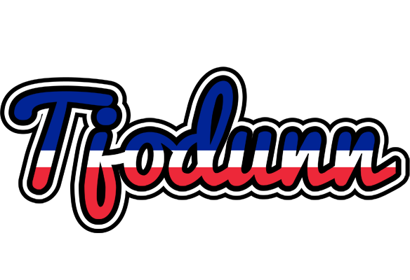 Tjodunn france logo