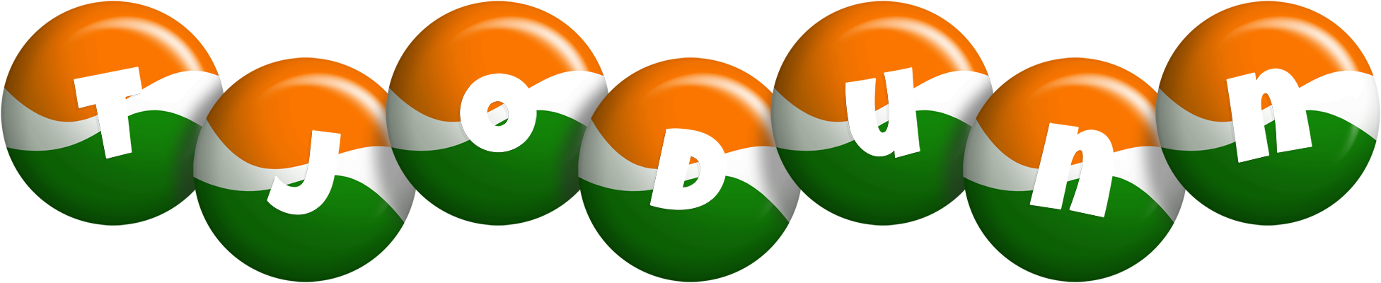 Tjodunn india logo