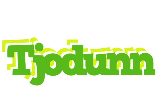 Tjodunn picnic logo