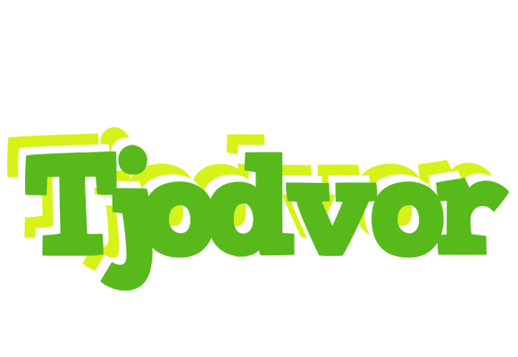 Tjodvor picnic logo