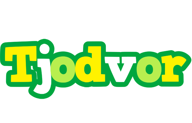 Tjodvor soccer logo