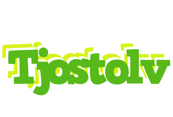Tjostolv picnic logo