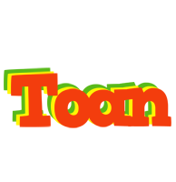 Toan bbq logo