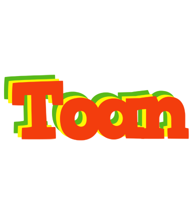 Toan bbq logo