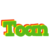 Toan crocodile logo