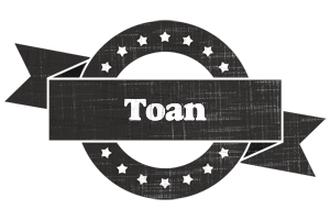 Toan grunge logo