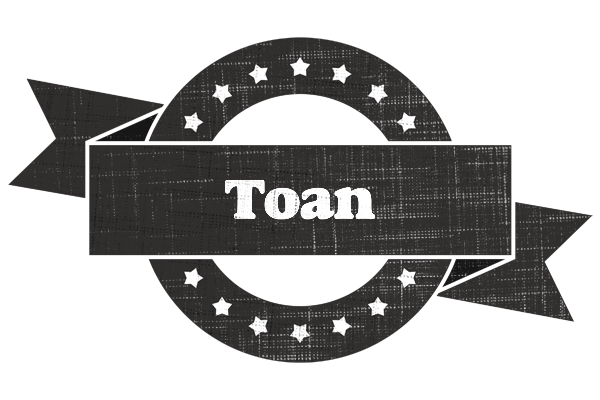 Toan grunge logo