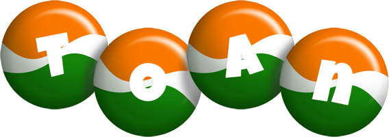 Toan india logo