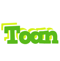 Toan picnic logo