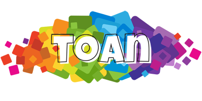 Toan pixels logo