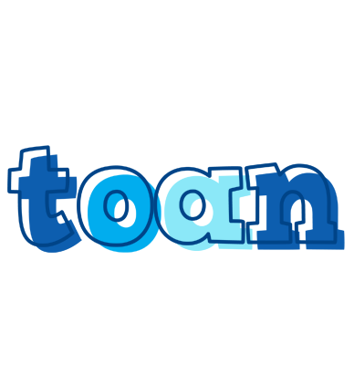 Toan sailor logo