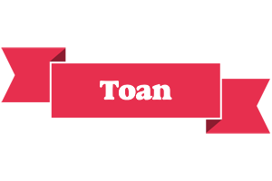 Toan sale logo