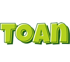 Toan summer logo