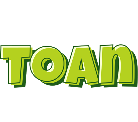 Toan summer logo