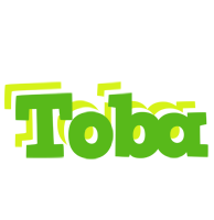 Toba picnic logo