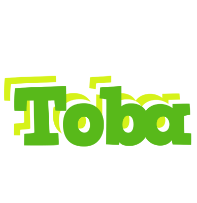 Toba picnic logo