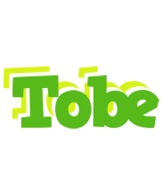 Tobe picnic logo