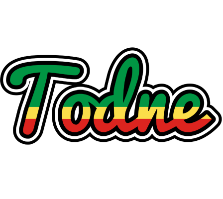 Todne african logo