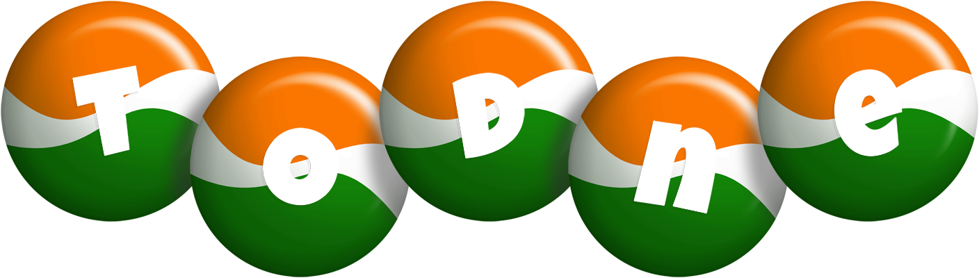Todne india logo