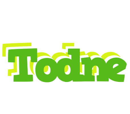 Todne picnic logo