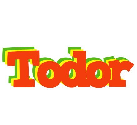 Todor bbq logo