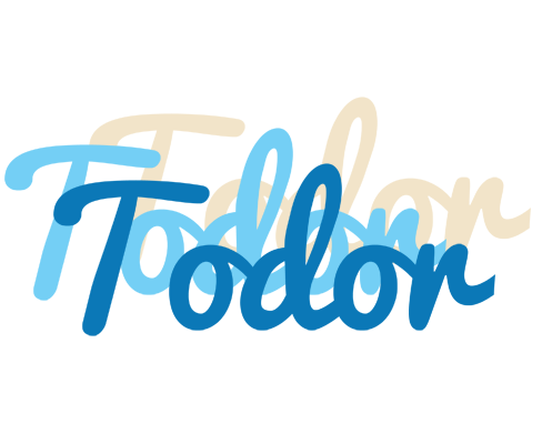 Todor breeze logo