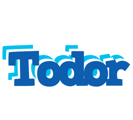 Todor business logo