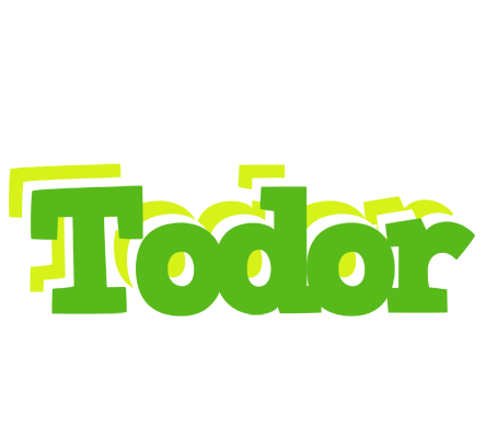 Todor picnic logo