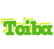 Toiba picnic logo