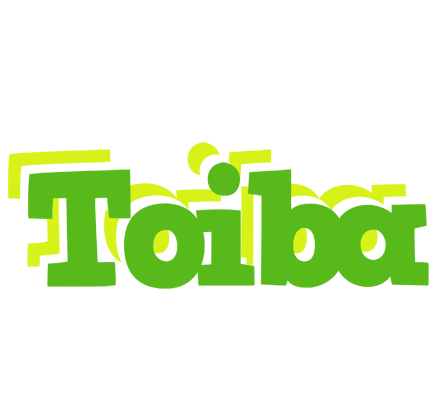 Toiba picnic logo