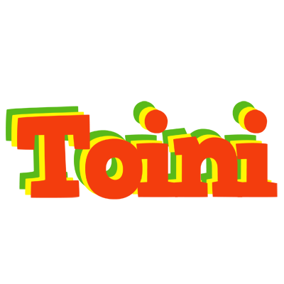 Toini bbq logo