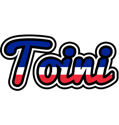 Toini france logo