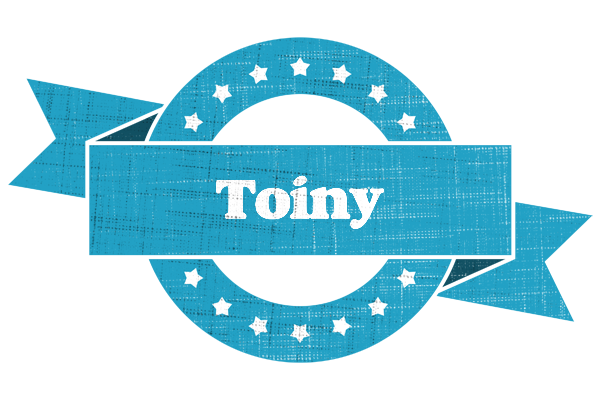 Toiny balance logo