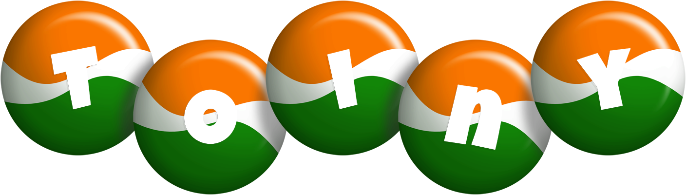 Toiny india logo