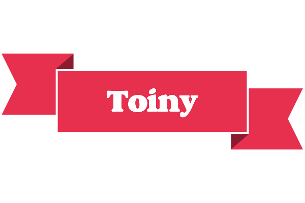 Toiny sale logo