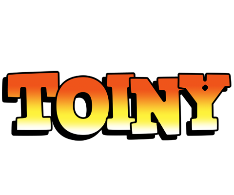 Toiny sunset logo